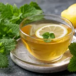 Lemon Balm Tea Recipe for Students: Calm, Focus, and Wellness in Every Sip Fresh lemon balm tea with lemon slice – healthy herbal drink for focus and calm