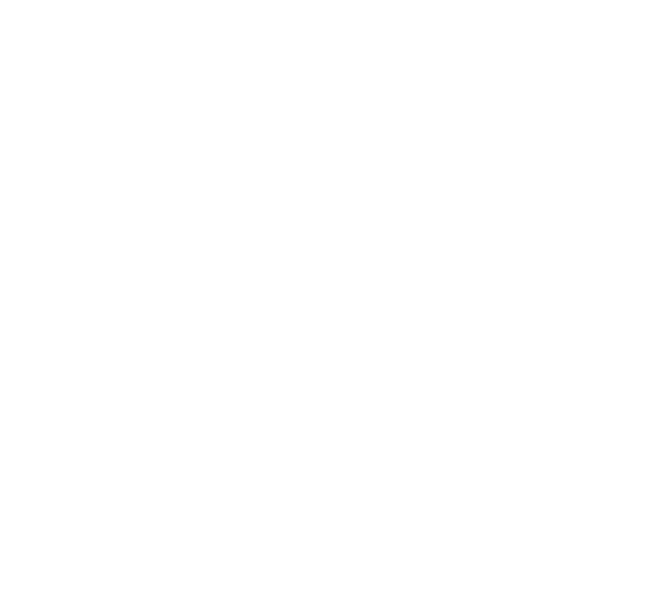 logo favicon blanc