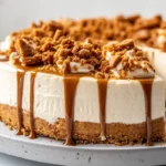 Creamy no bake Biscoff cheesecake with smooth Lotus topping and crunchy cookie crust